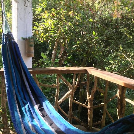 Finca Flora Del Rio, Habitacion Las Orquideas Pijao Dış mekan fotoğraf
